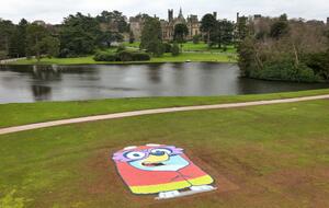 Bluey beans portrait