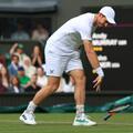 Andy Murray