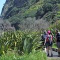 Hiking holidays are set to surge in popularity