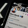 Elon Musk's X page