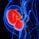 World’s first pregnancy robot