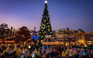 Disney Christmas Tree