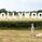 Compare the Market's Hollywood sign