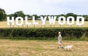 Compare the Market's Hollywood sign