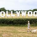 Compare the Market's Hollywood sign