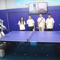 Robot plays table tennis