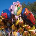Disney World