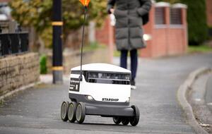 Delivery robot