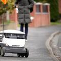 Delivery robot