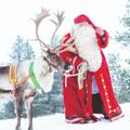 Lapland day trip