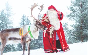 Lapland day trip