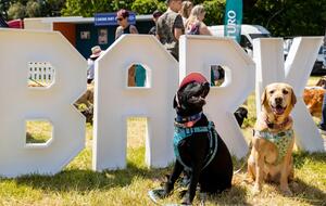 Dog Fest