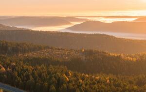 Black Forest in Germany