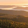 Black Forest in Germany