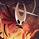 Hollow Knight: Silksong